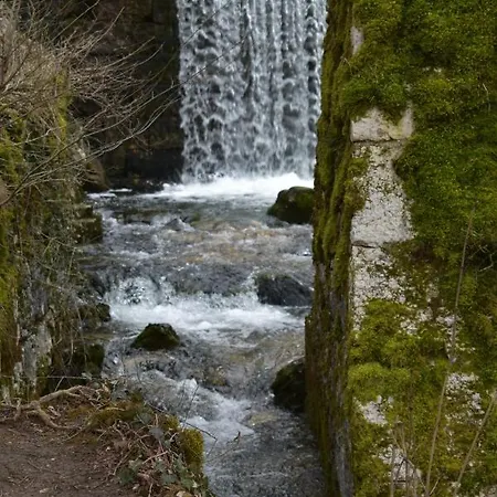 Le Meleze
